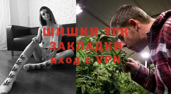 прущие грибы Вяземский