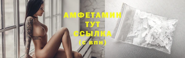 прущие грибы Вяземский