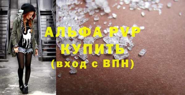 прущие грибы Вяземский