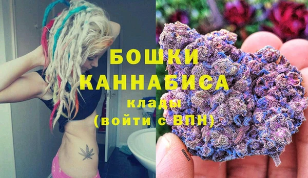 прущие грибы Вяземский