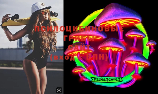 прущие грибы Вяземский
