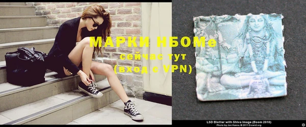 прущие грибы Вяземский
