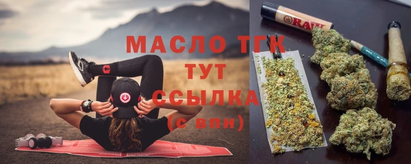 прущие грибы Вяземский