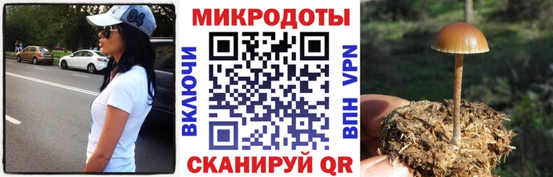 Галлюциногенные грибы мухоморы Пионерский