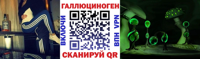 Псилоцибиновые грибы GOLDEN TEACHER  Купить закладки  Пионерский 